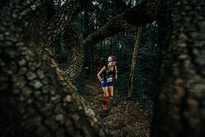 BIB: 
                            <button type="button" onclick="openModal(25687677)" class="btn btn-primary btn-sm float-right btn-popup" data-toggle="modal" data-target=".modal-high-quality">
                        <i class="fas fa-shopping-cart"></i> Add to Cart
                    </button>
                                            <button type="button" onclick="isThisMe(25687677, true)" class="btn btn-success btn-sm float-right btn-popup btn-isme hidden" data-toggle="tooltip" data-placement="bottom" title="นี่คือรูปของคุณใช่ไหม คลิกที่นี่เพื่อเอาเข้าอัลบั้ม">
                        <i class="fas fa-plus"></i> Add to album
                    </button>
                    <button type="button" onclick="isThisMe(25687677, false)" class="btn btn-warning btn-sm float-right btn-popup btn-isnotme hidden">
                        <i class="fas fa-ban"></i> Remove from album
                    </button>